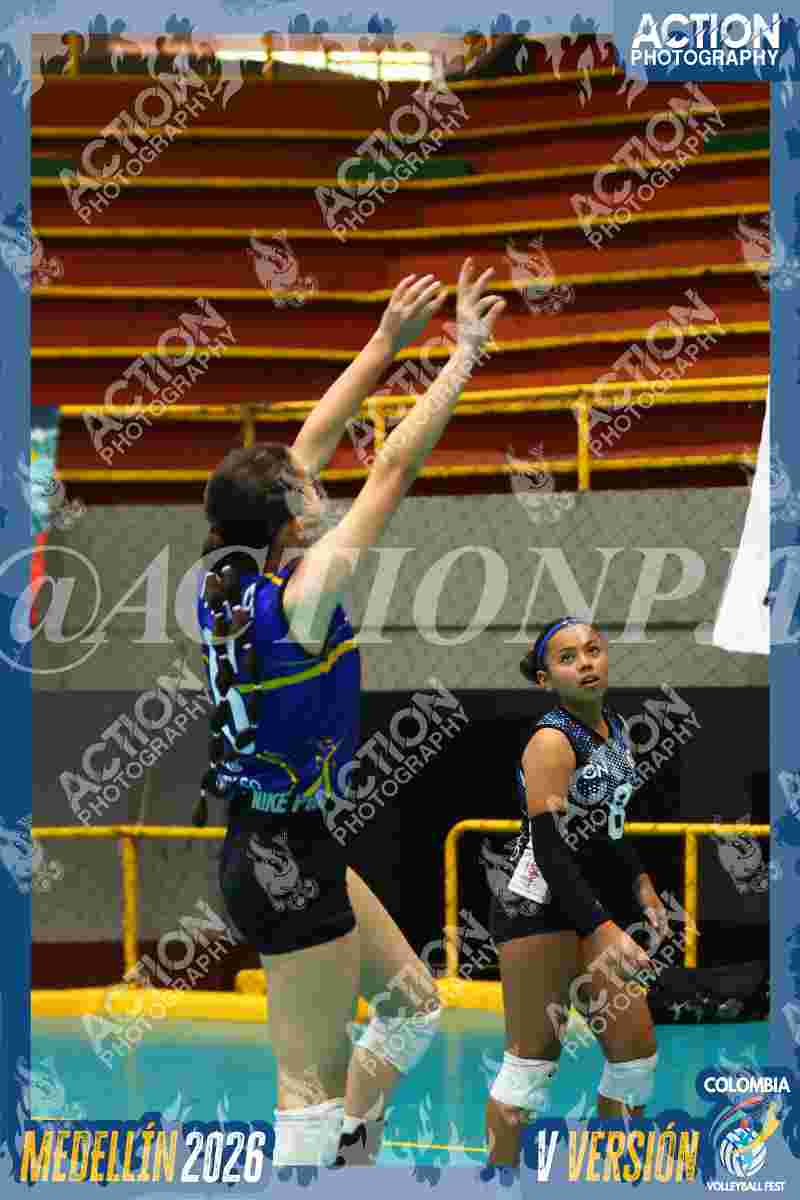 TIGRES F Foto 12