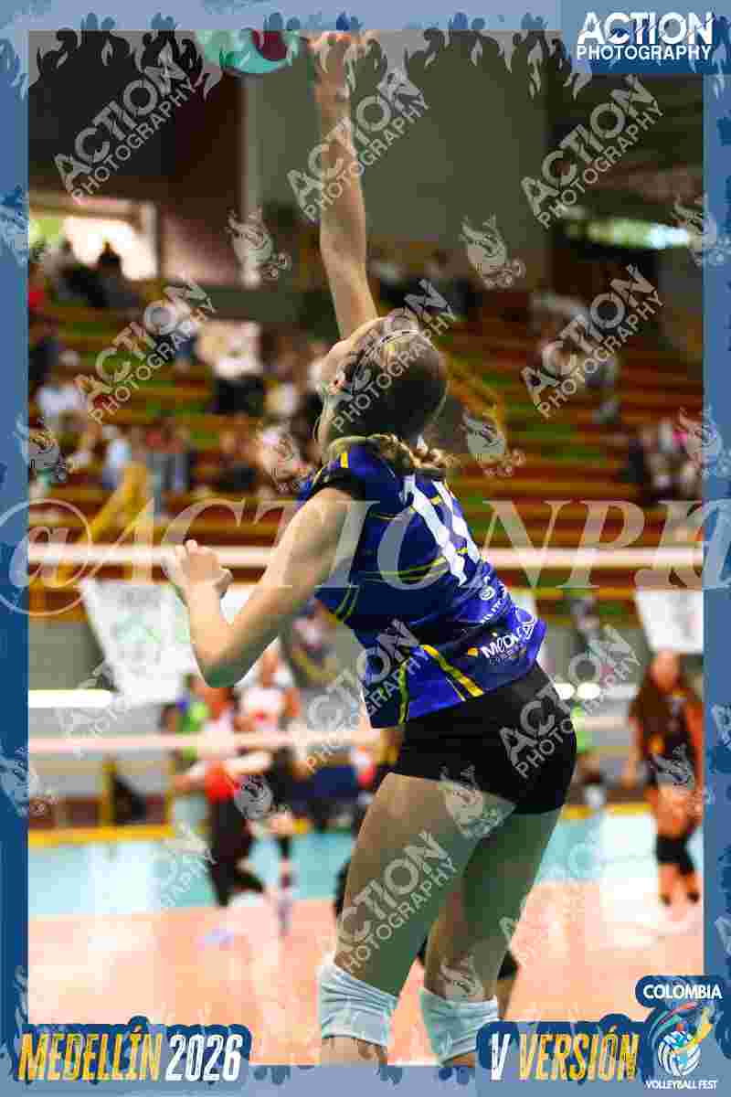 Preview de TIGRES F