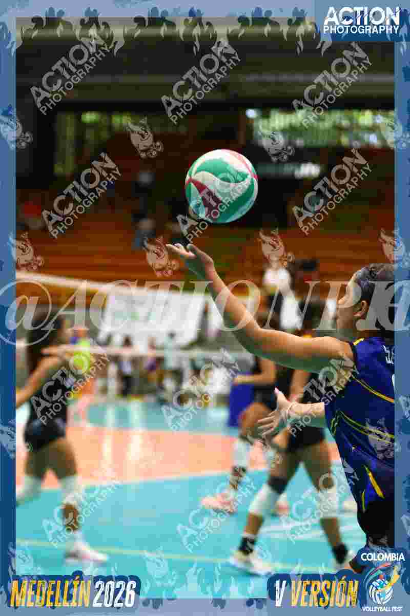 Preview de TIGRES F