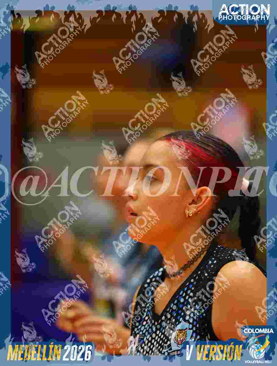 TIGRES F Foto 1
