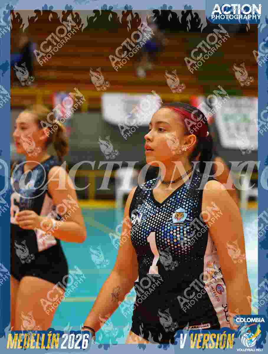 TIGRES F Foto 1