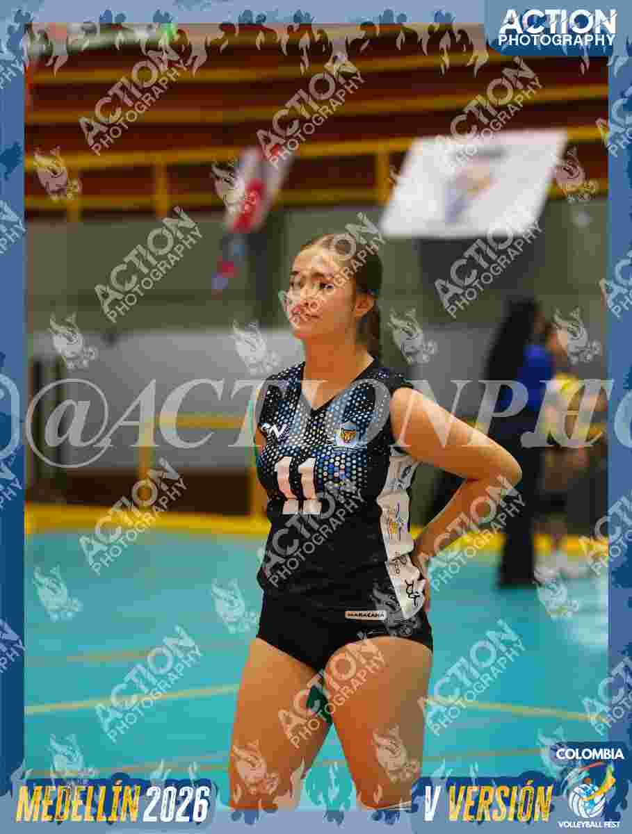 TIGRES F Foto 1