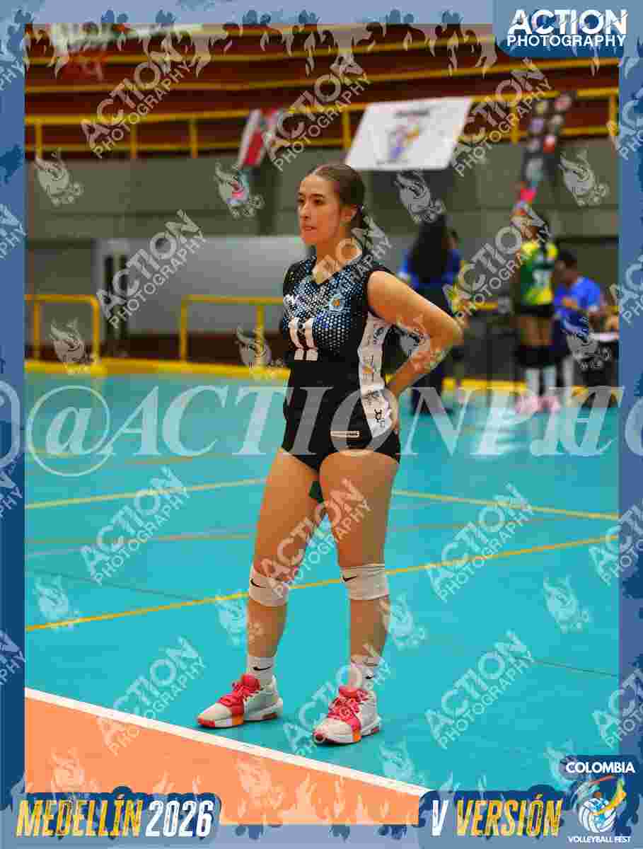 TIGRES F Foto 1