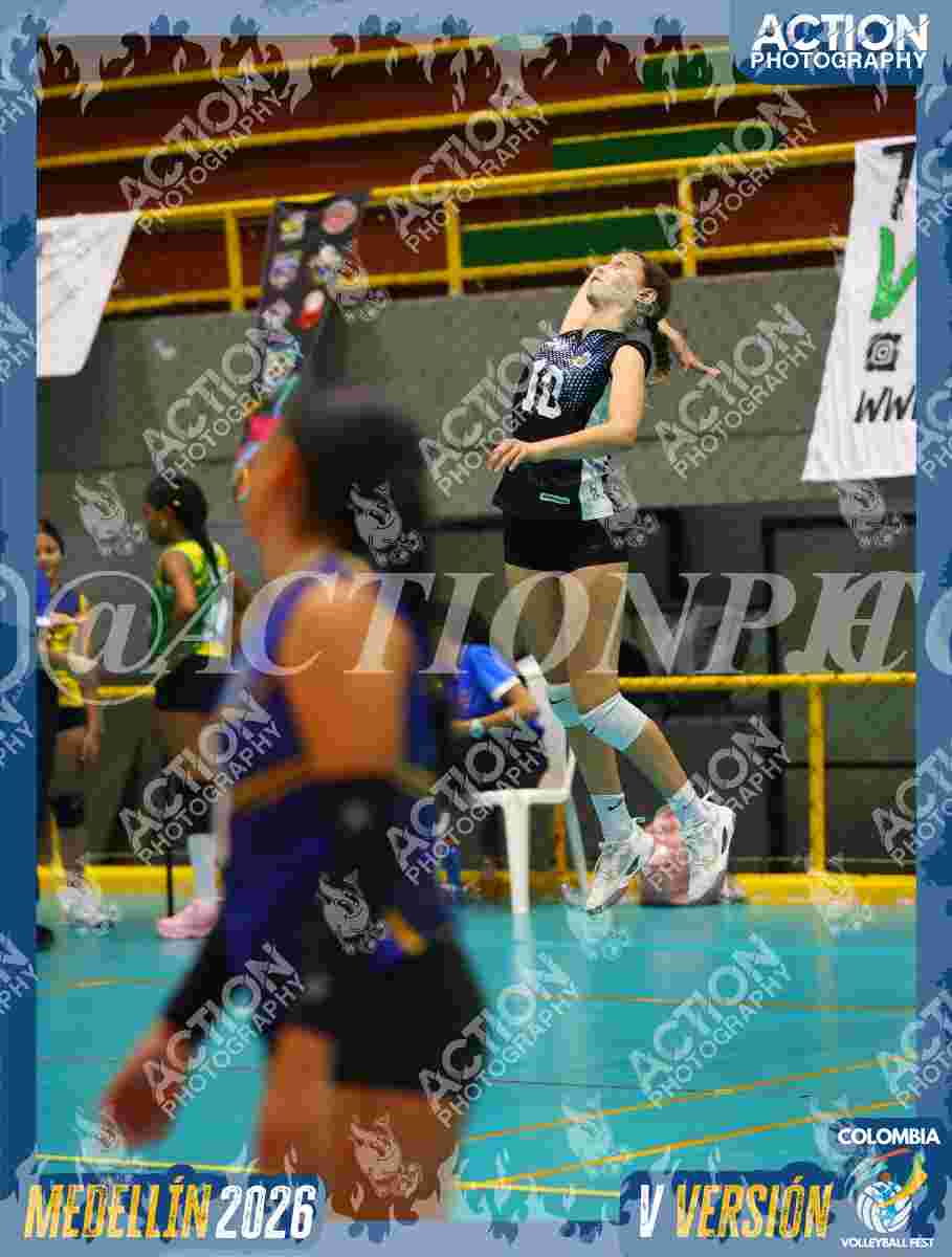 TIGRES F Foto 11
