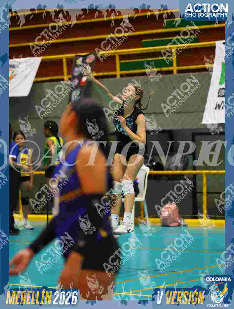 TIGRES F Foto 11