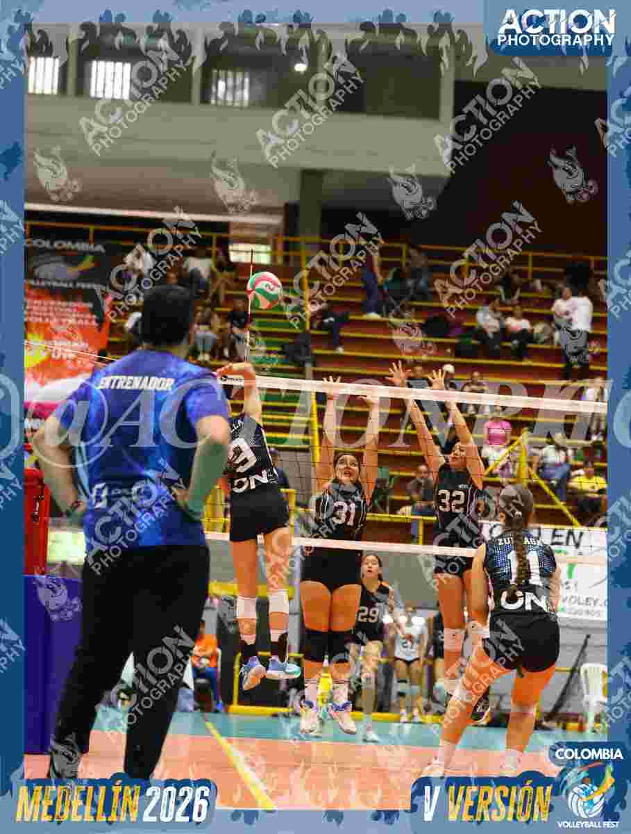 Preview de TIGRES F