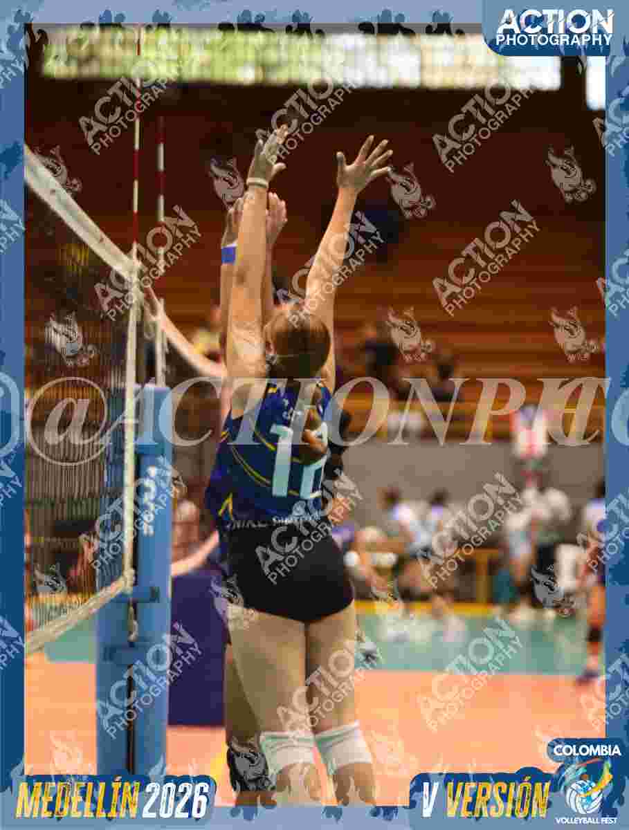 TIGRES F Foto 1