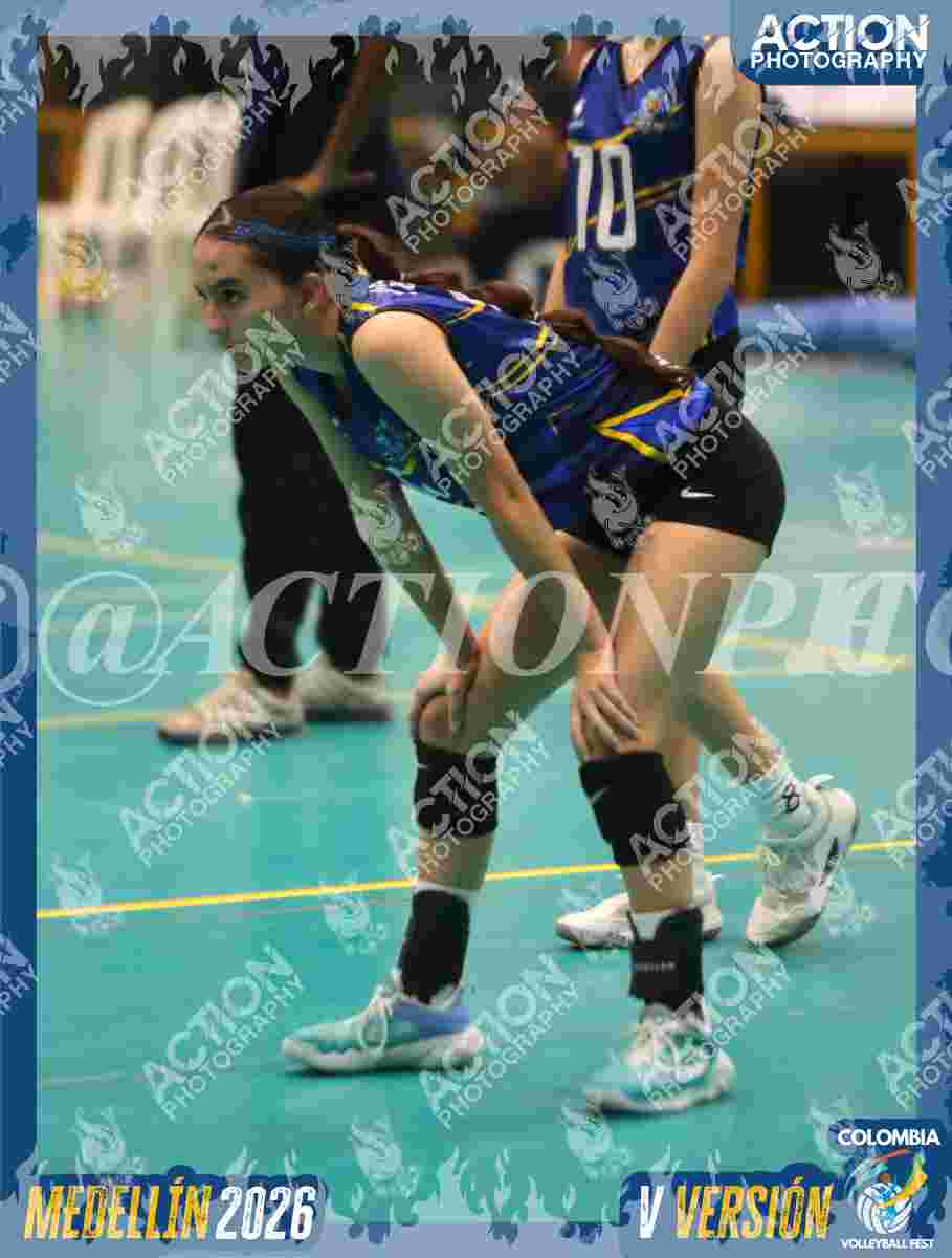 TIGRES F Foto 6