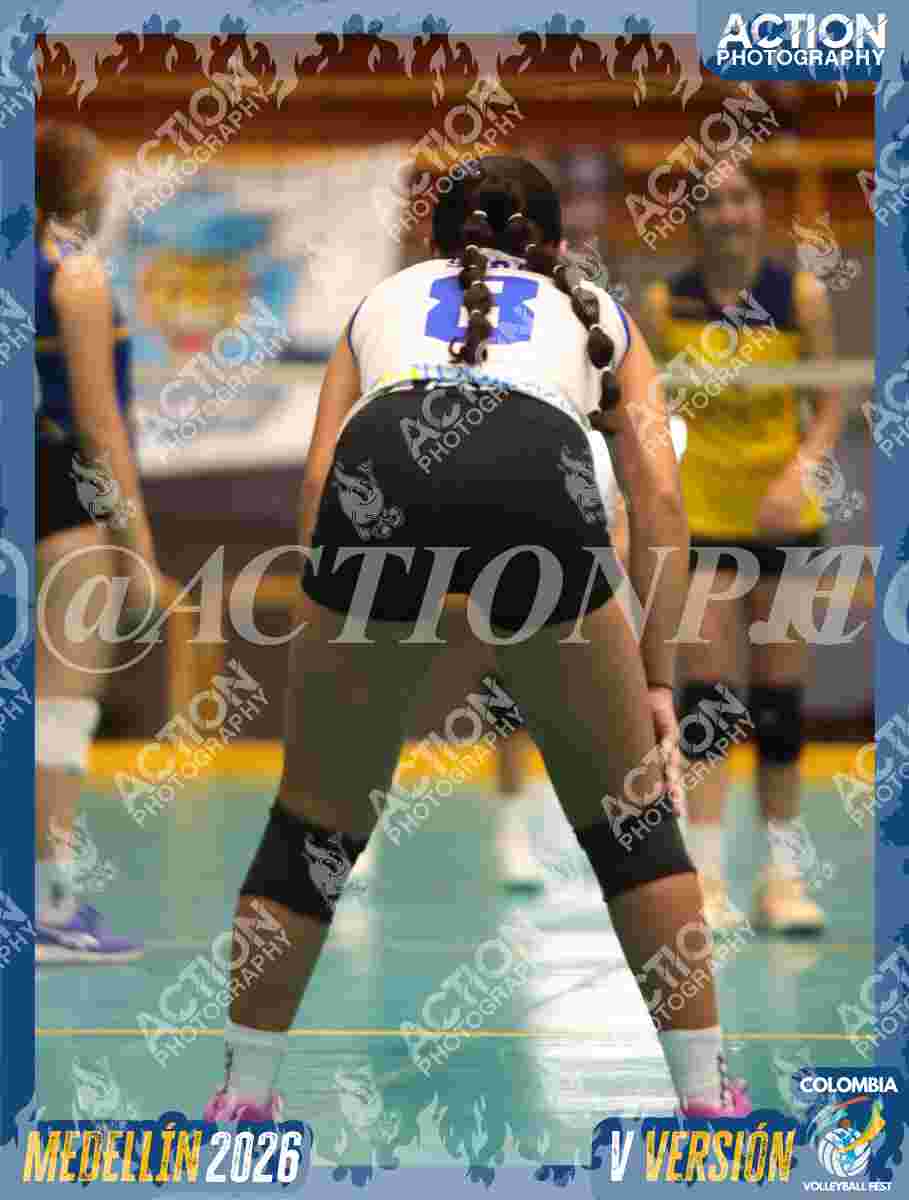 TIGRES F Foto 6