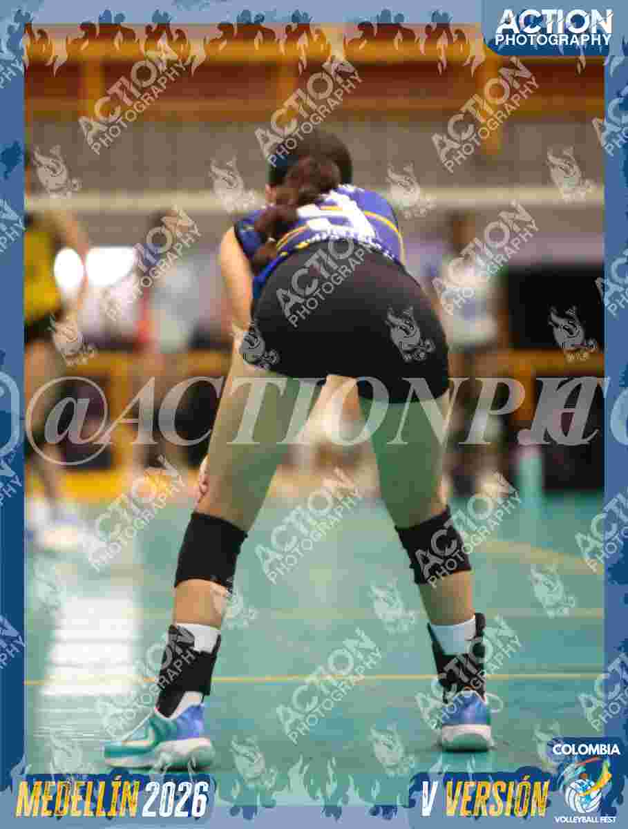 TIGRES F Foto 6