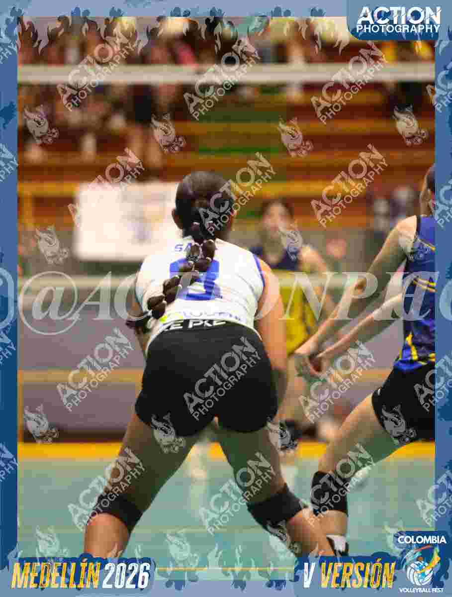 TIGRES F Foto 1