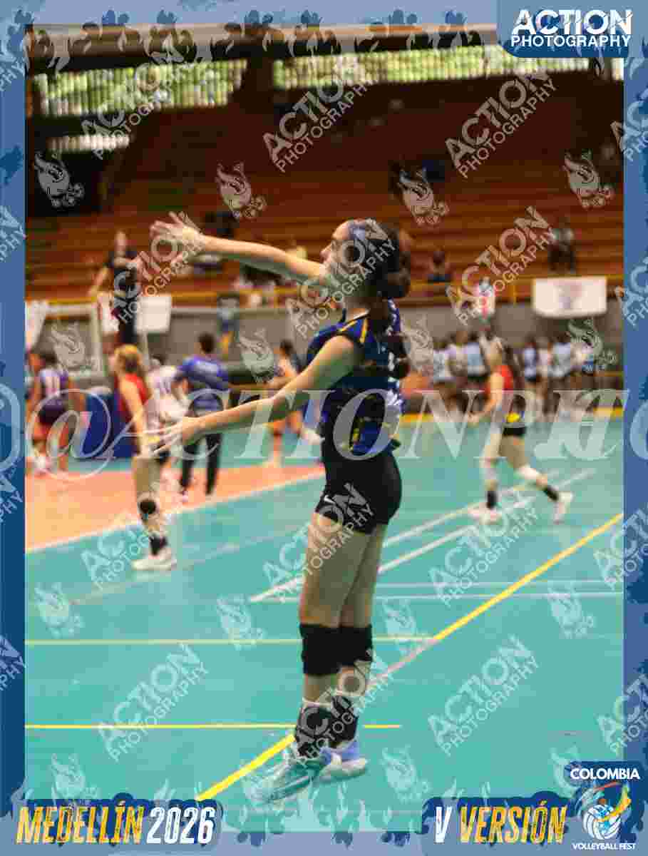 TIGRES F Foto 6