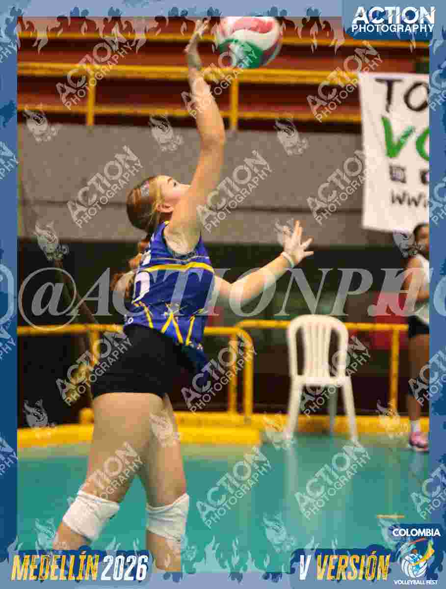 TIGRES F Foto 6