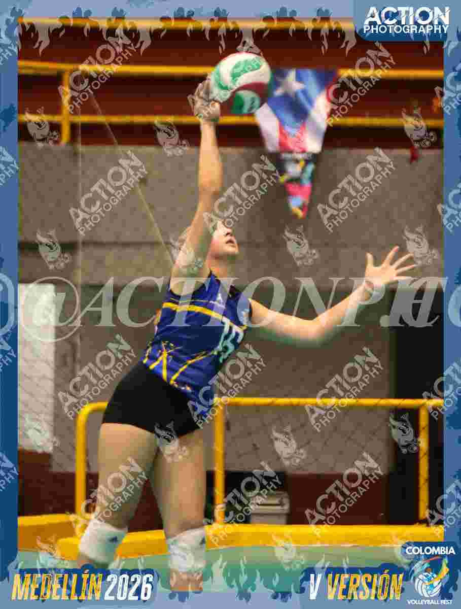 TIGRES F Foto 16