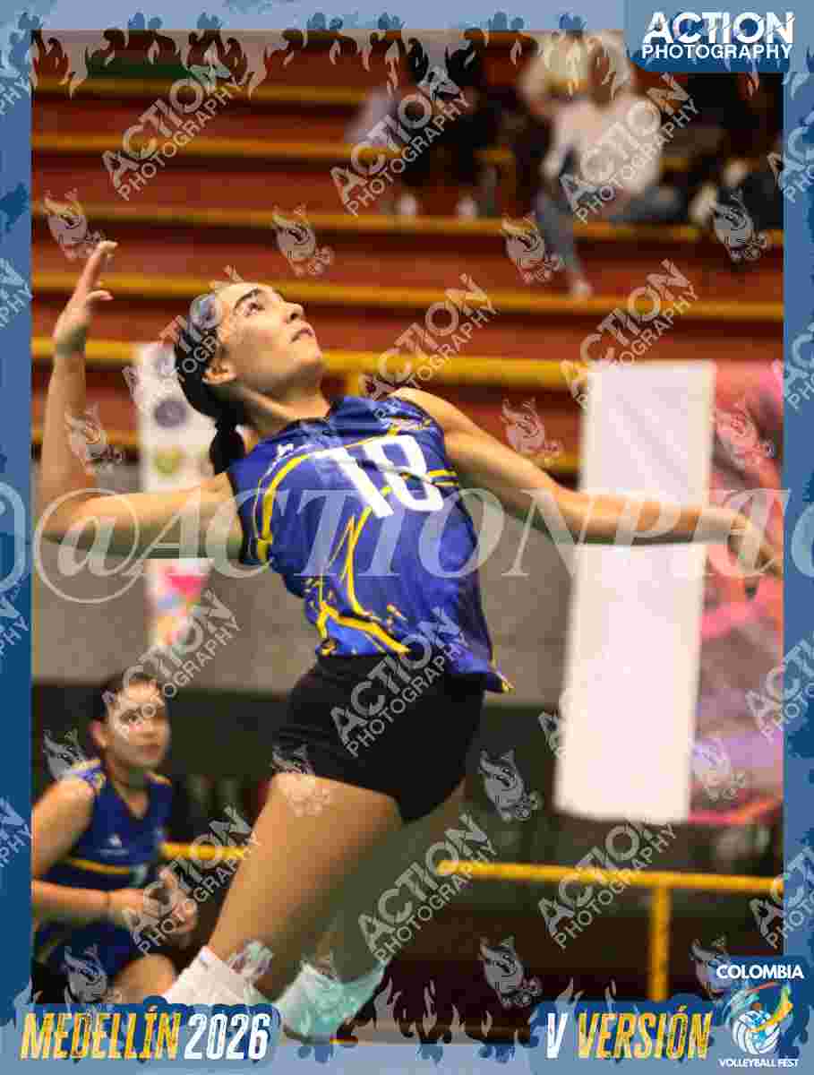 TIGRES F Foto 16