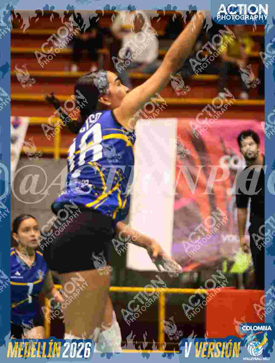 TIGRES F Foto 16