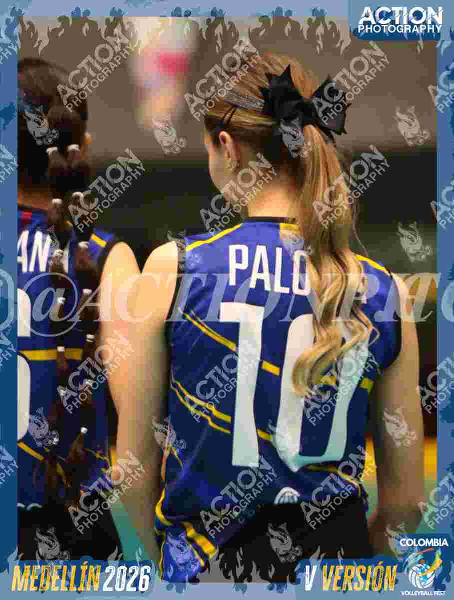 Preview de TIGRES F