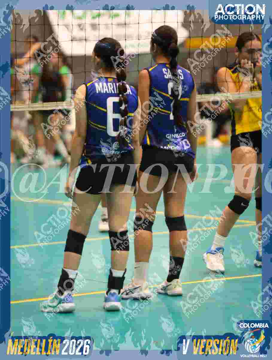 Preview de TIGRES F