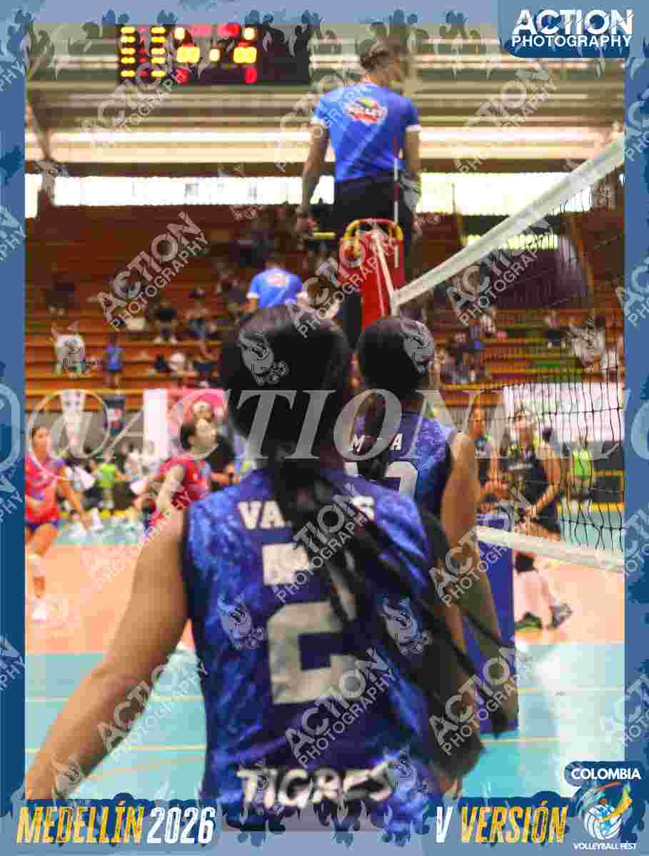 TIGRES S Foto 1