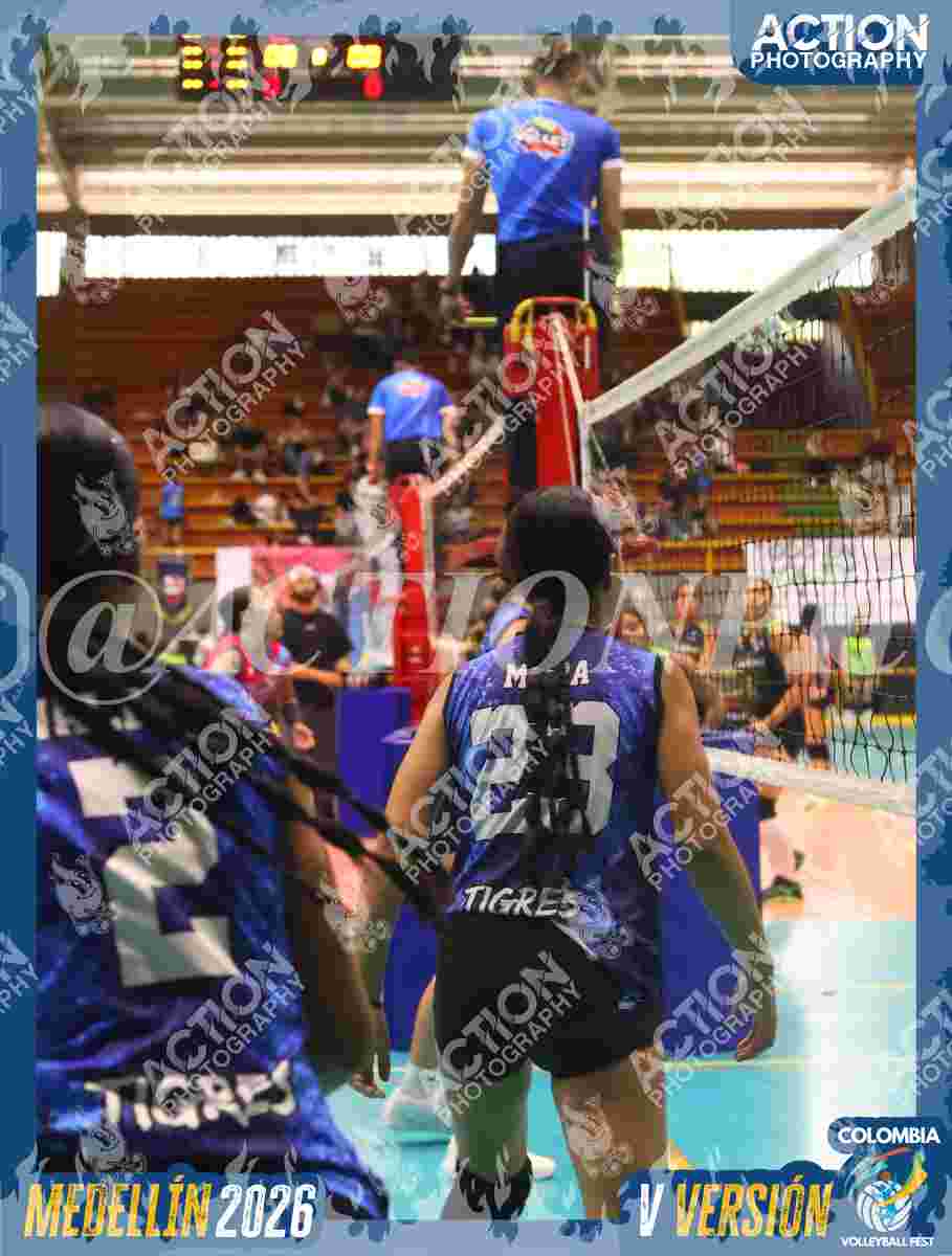 TIGRES S Foto 1