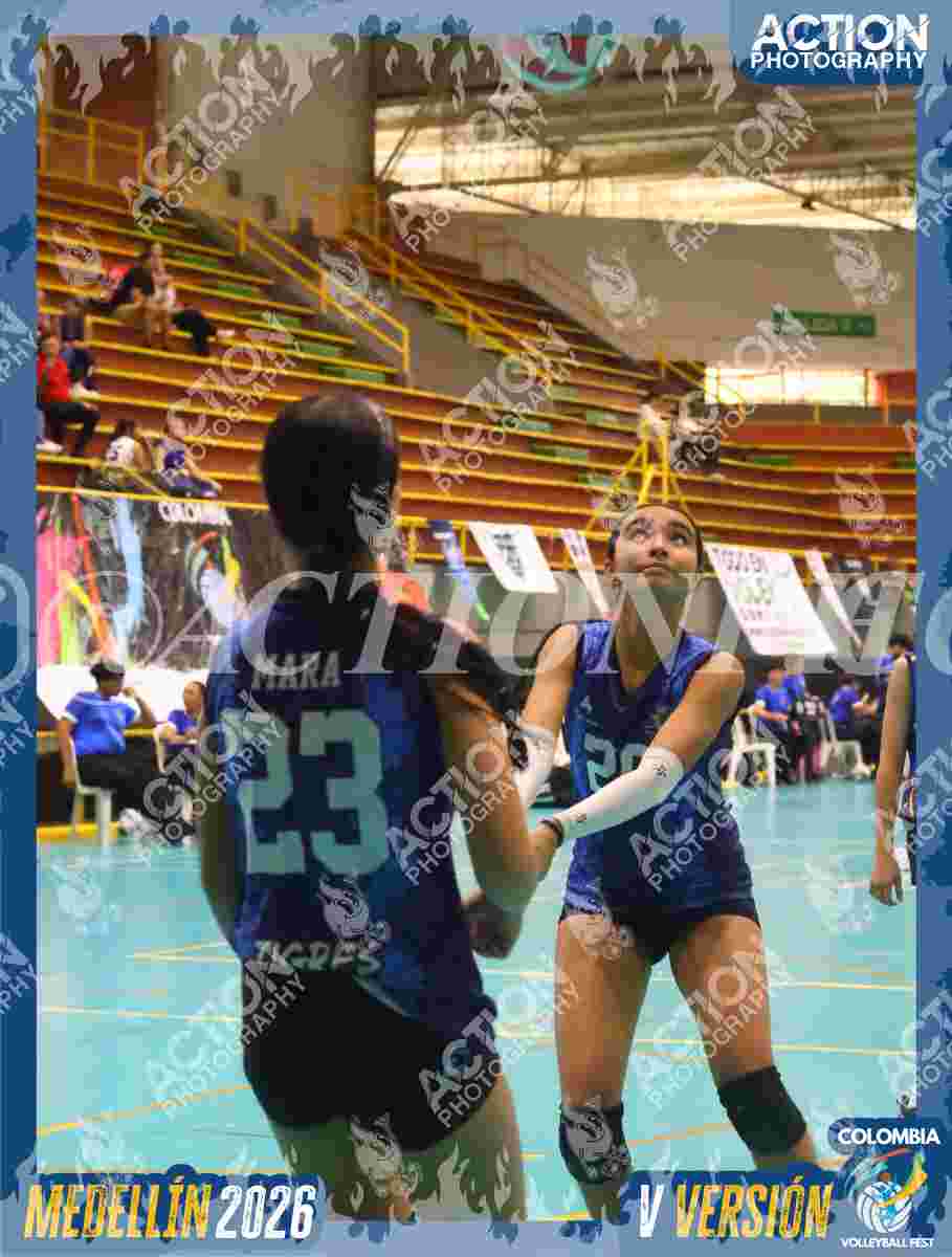 TIGRES S Foto 1