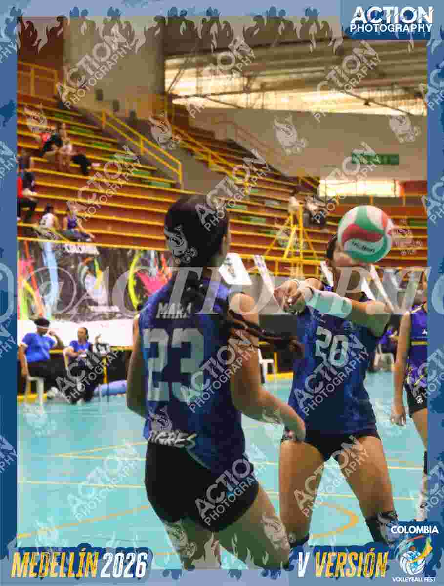 TIGRES S Foto 11