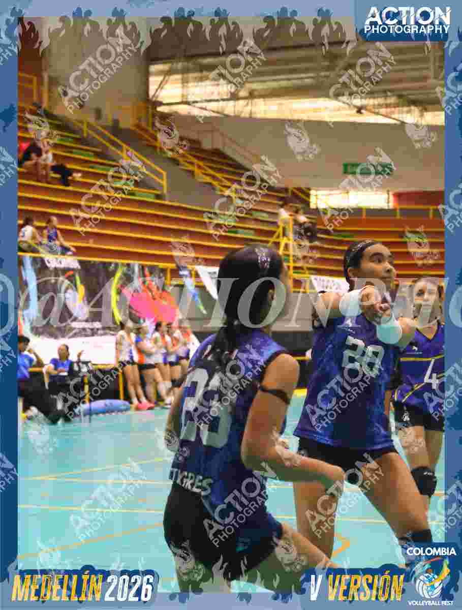TIGRES S Foto 11