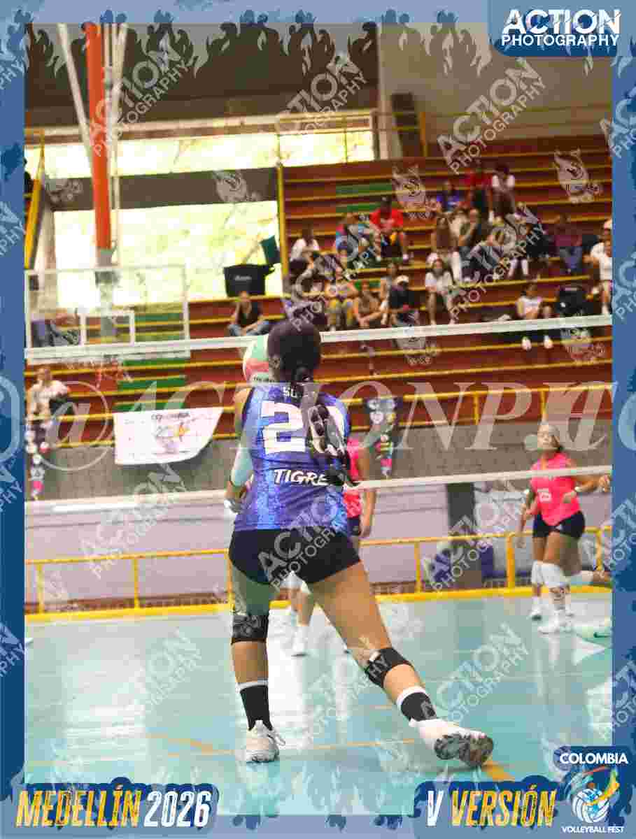 TIGRES S Foto 11