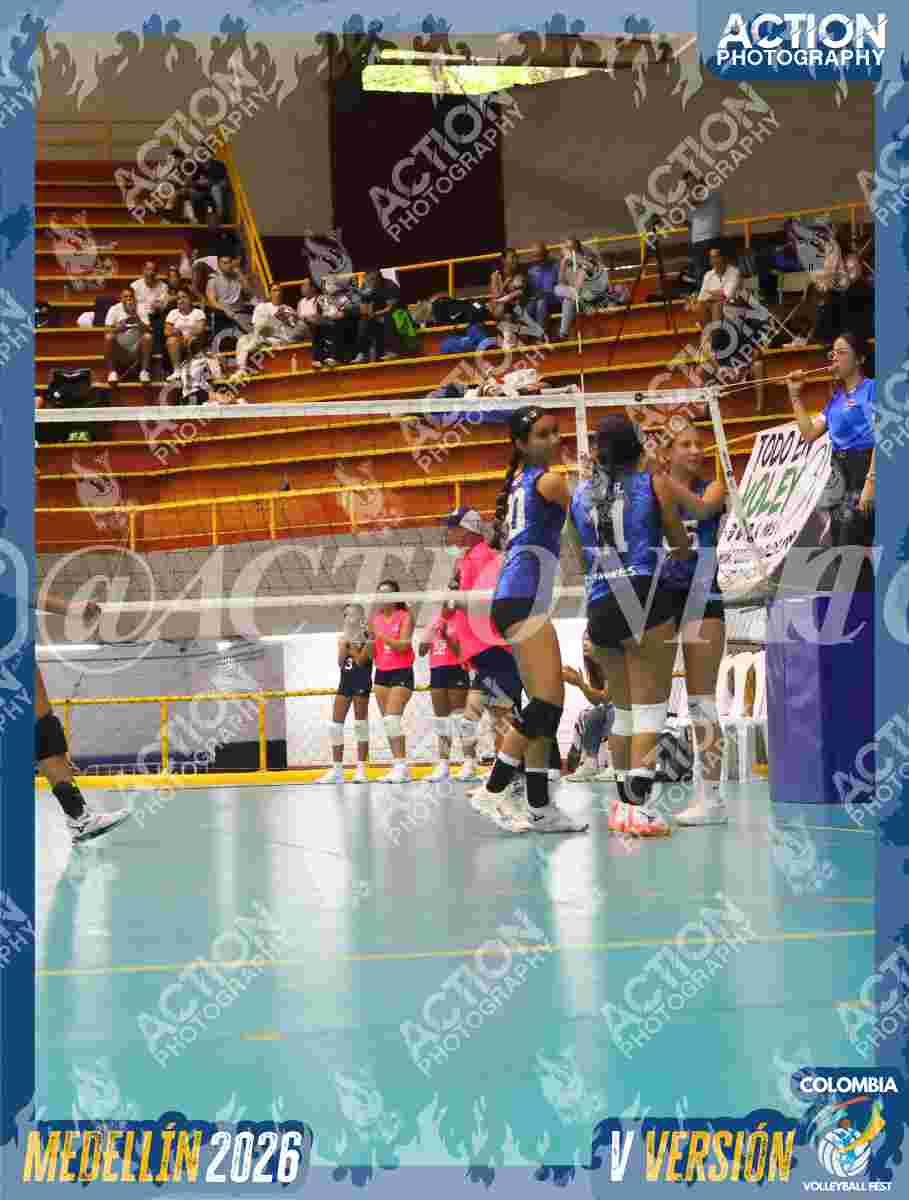 TIGRES S Foto 11