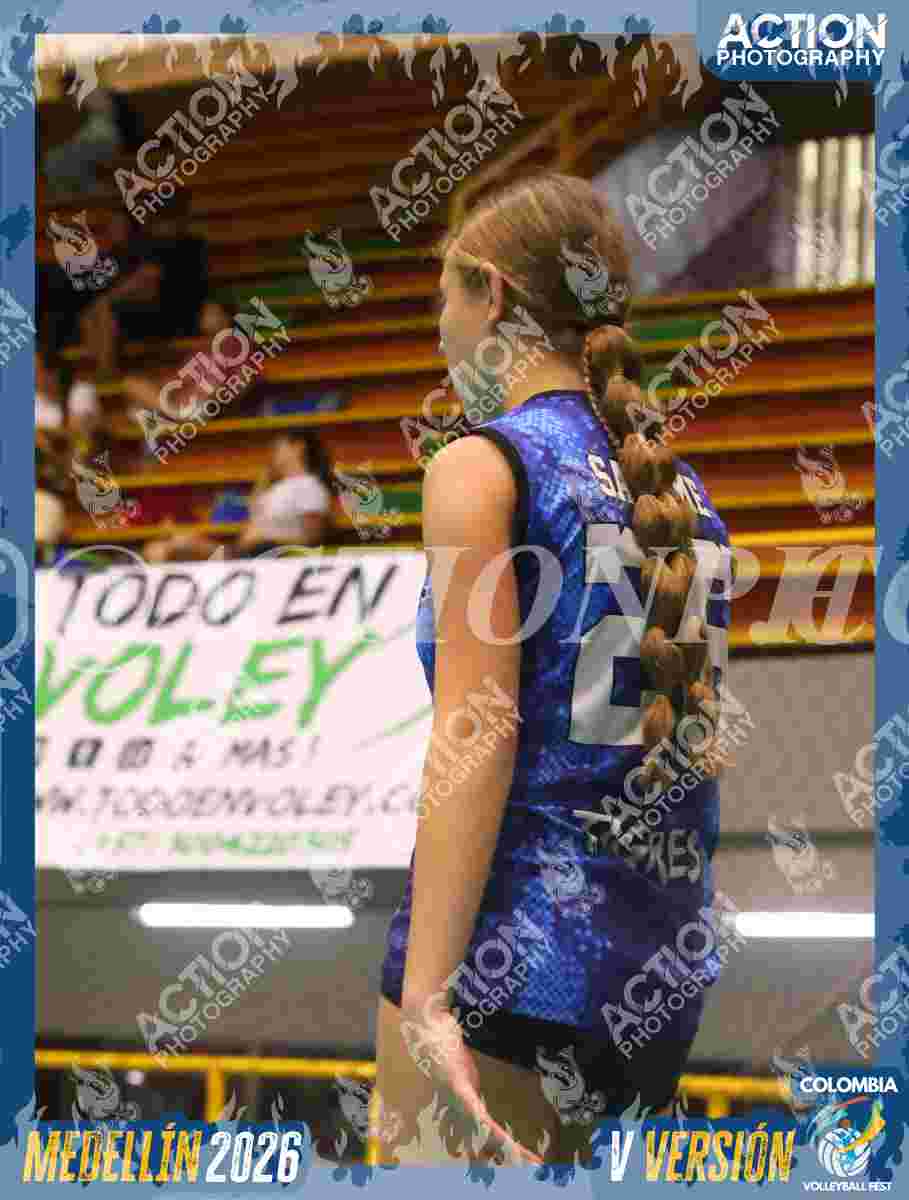 TIGRES S Foto 11