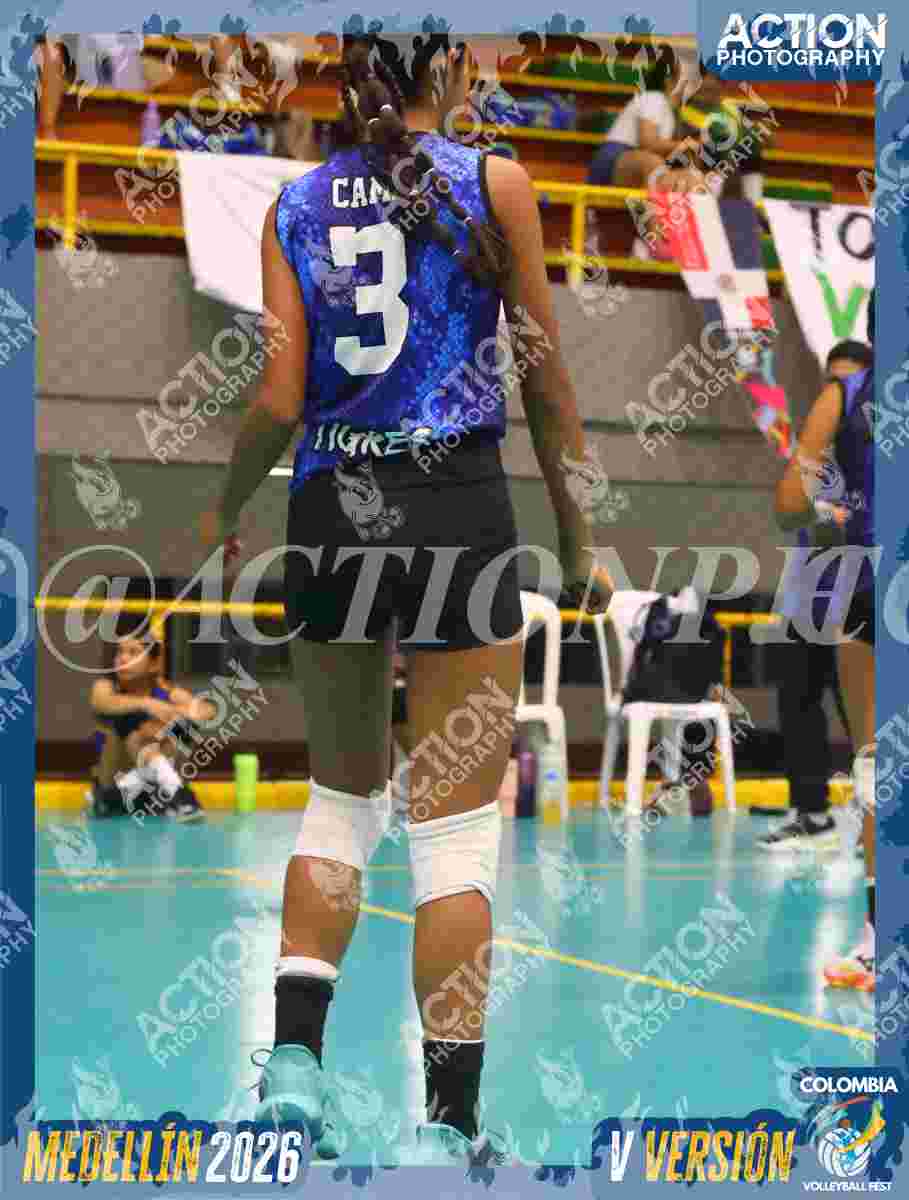Preview de TIGRES S