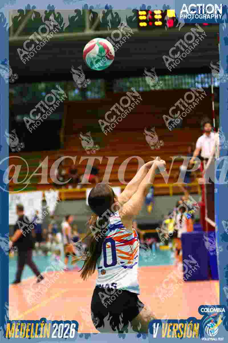 Preview de ATENAS BLUE
