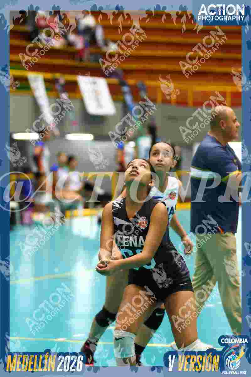 Preview de ATENAS BLUE