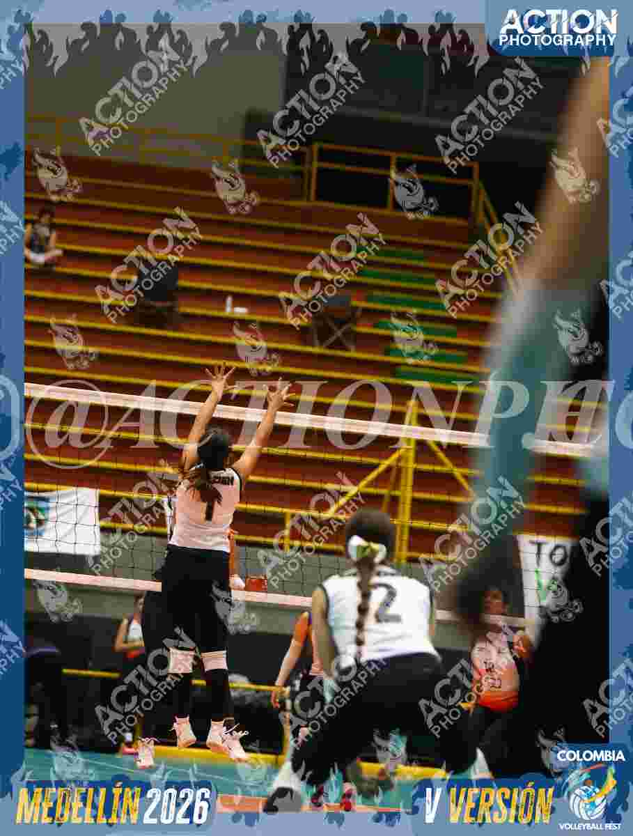 GOLDEN Foto 1