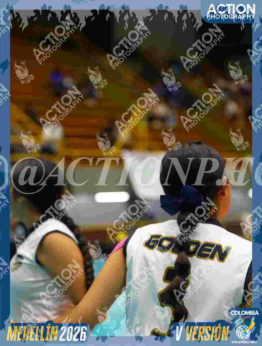 Preview de GOLDEN