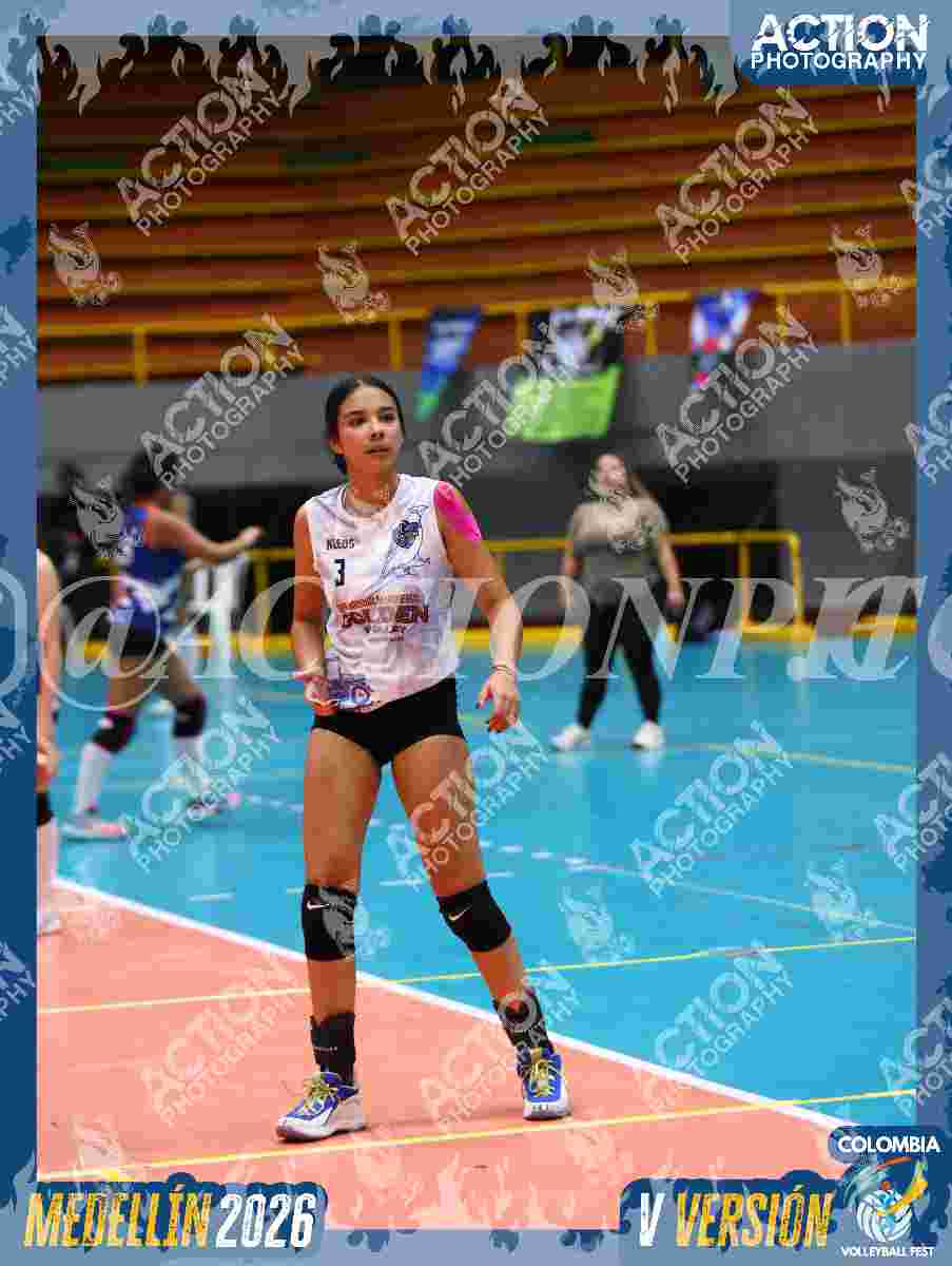 GOLDEN Foto 11