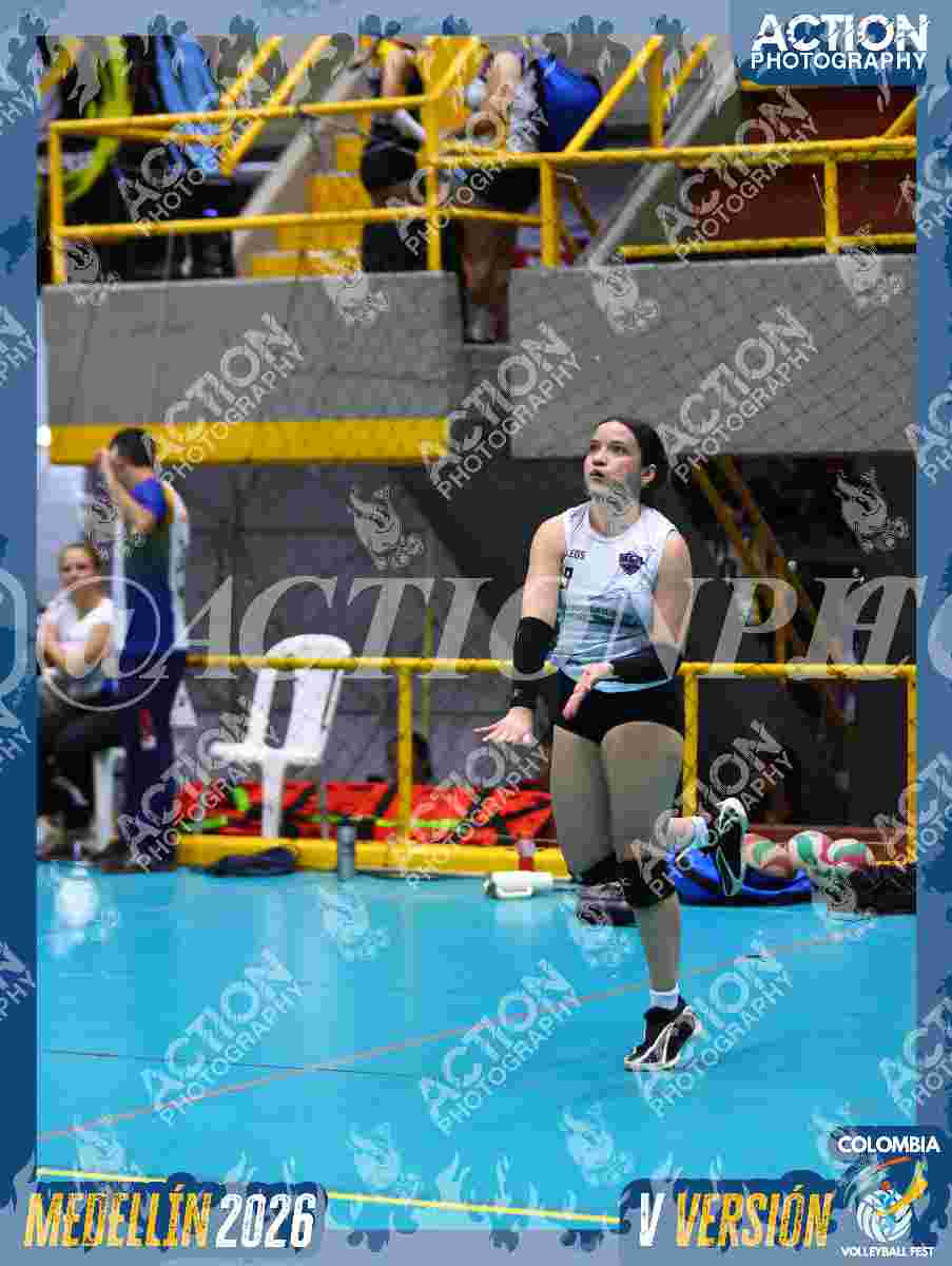GOLDEN Foto 11