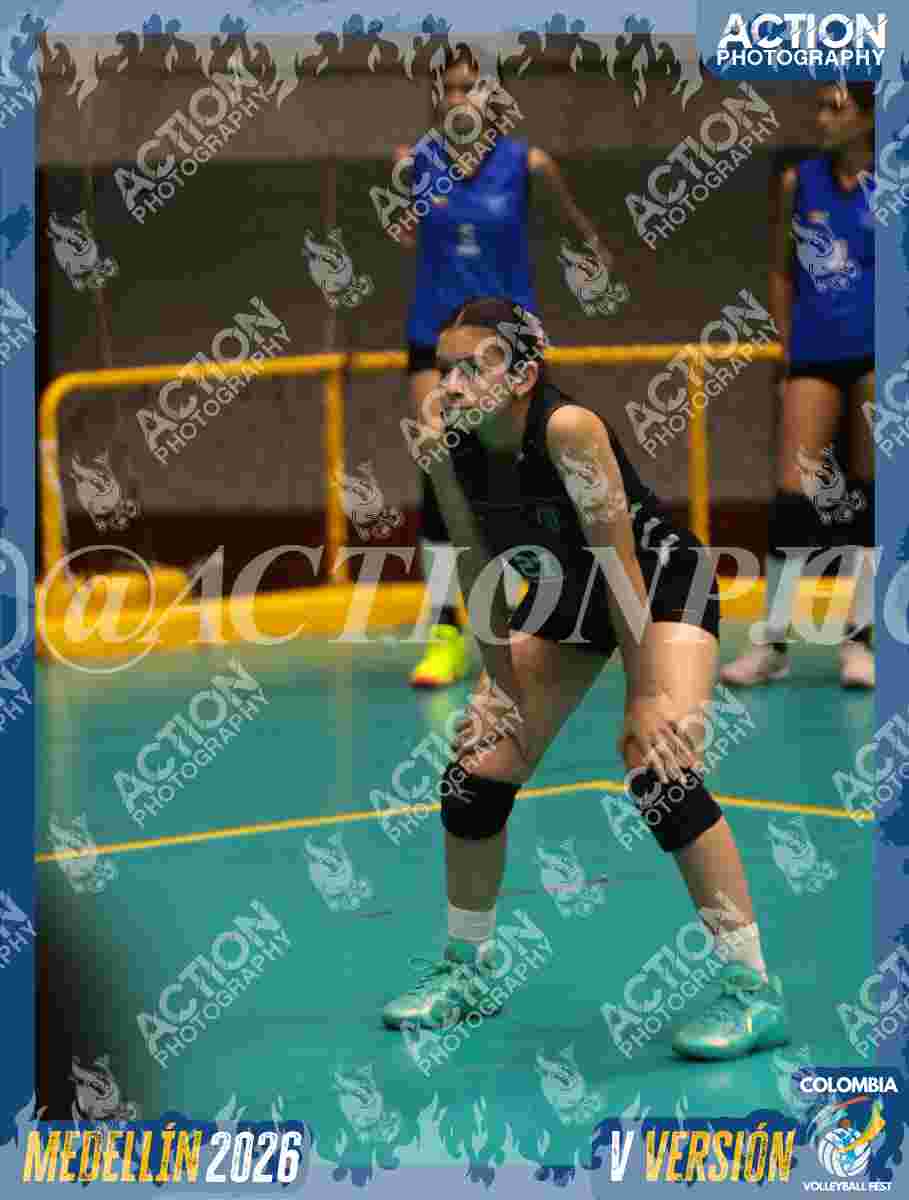Preview de OLYMPIC