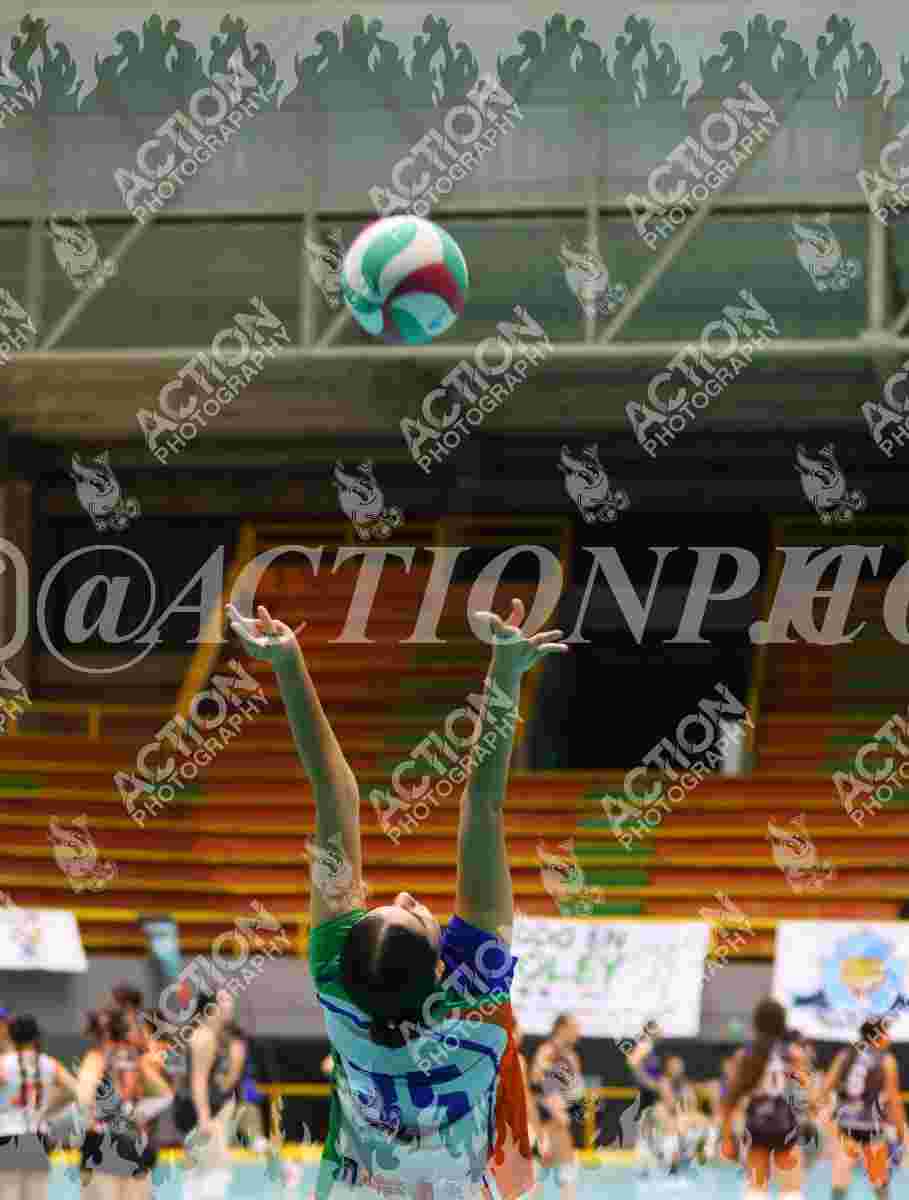 POTROS BLACK Foto 1