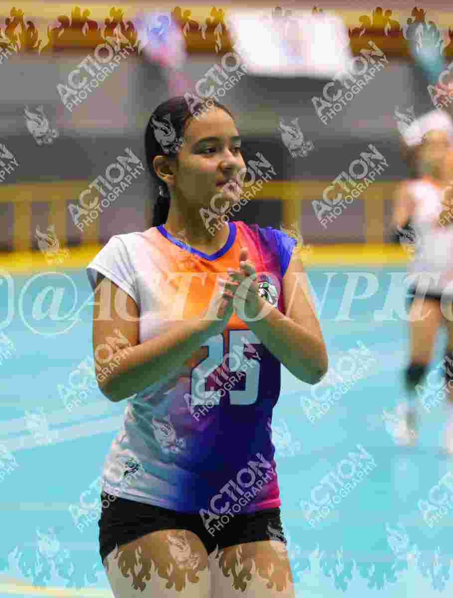 POTROS BLACK Foto 11