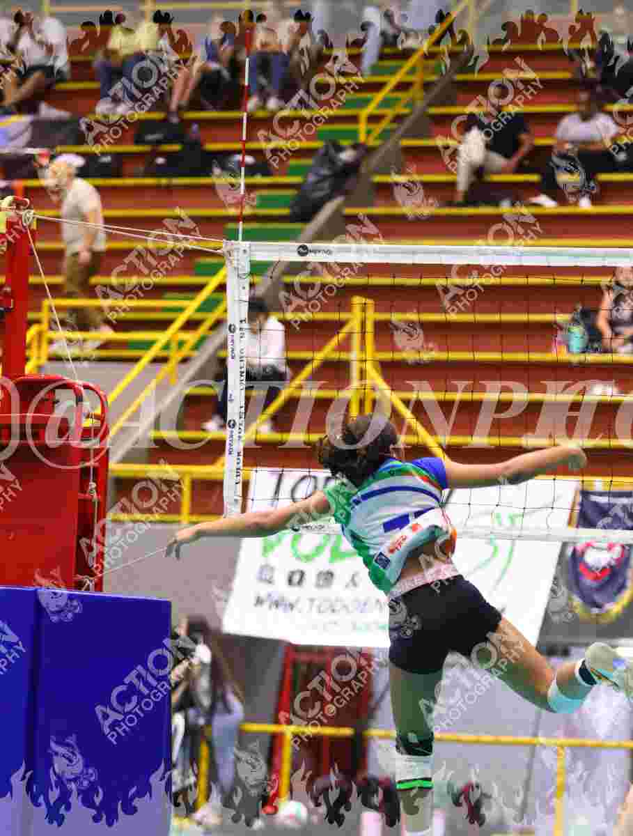 POTROS BLACK Foto 1