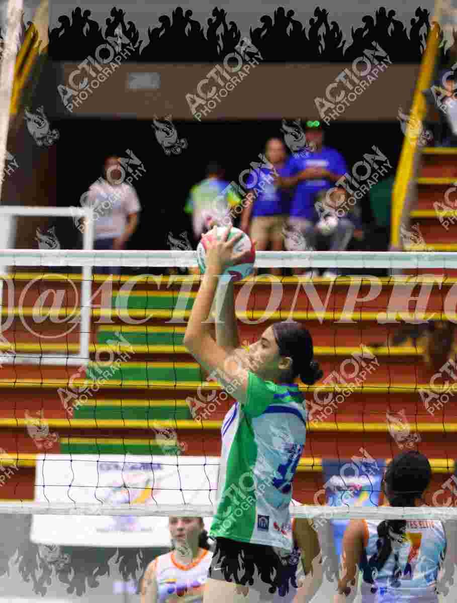 POTROS BLACK Foto 1
