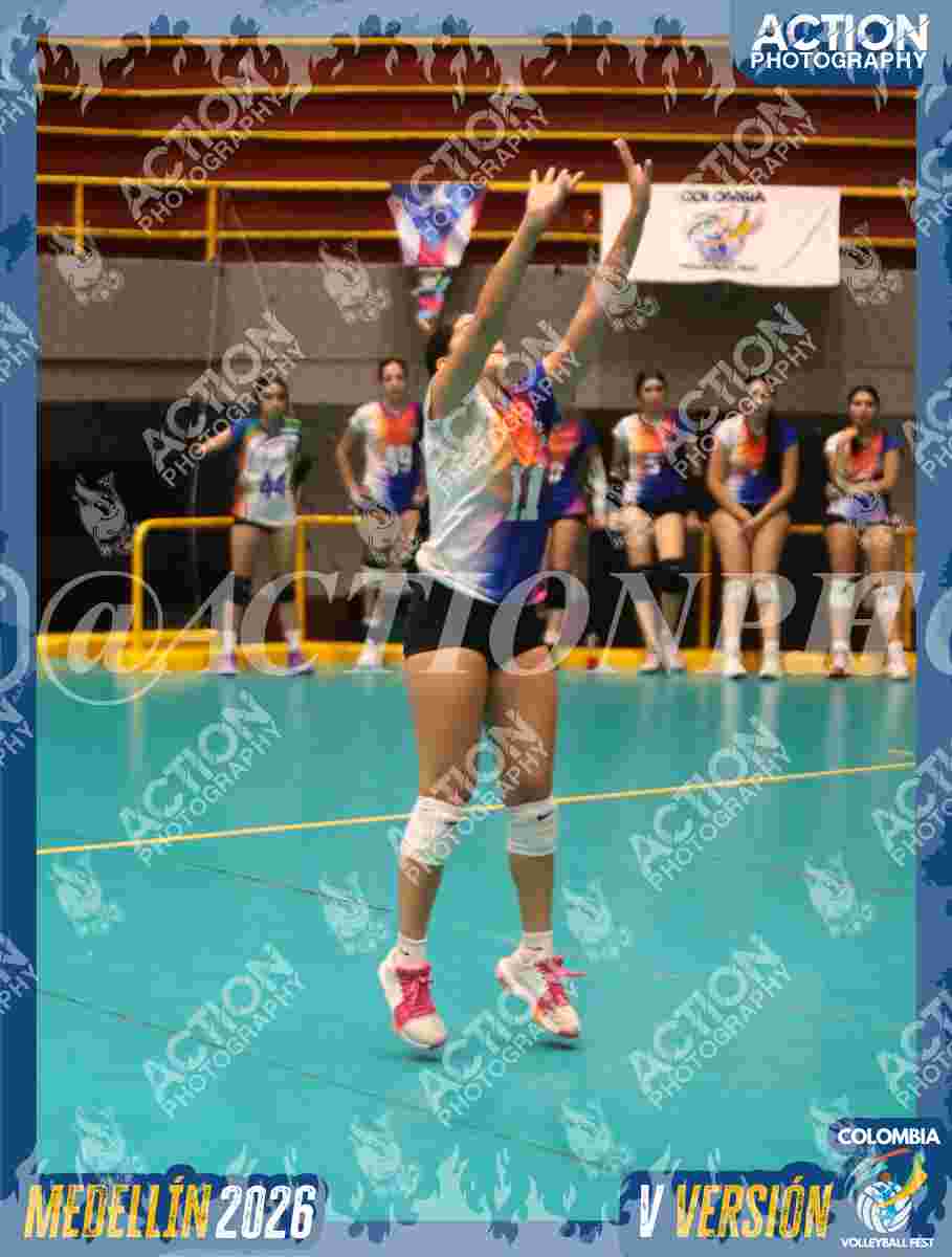 Preview de POTROS SPORTS BLUE