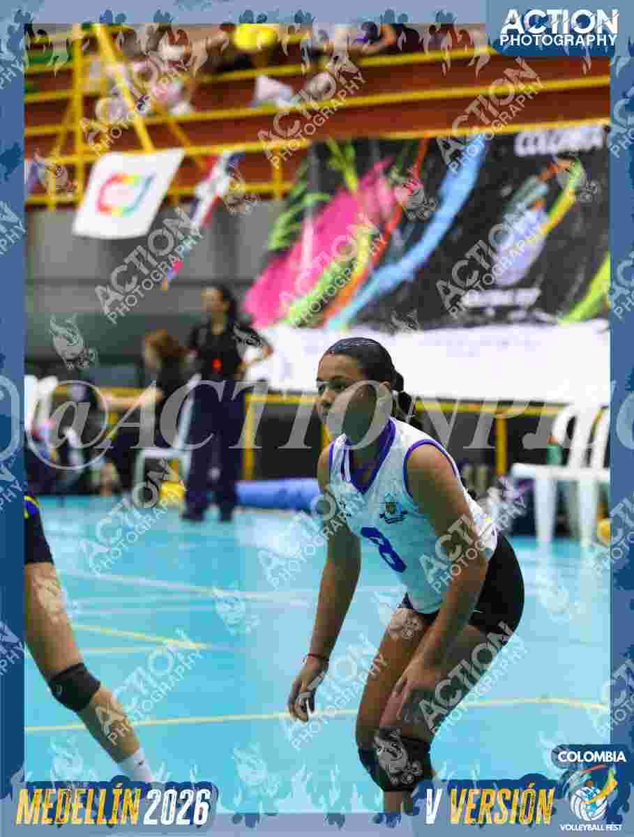 TIGRES F Foto 4