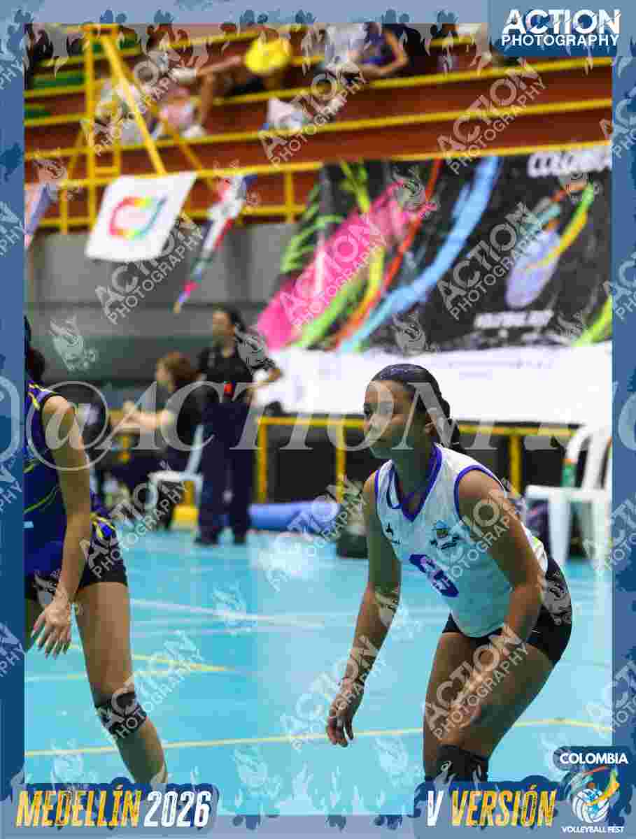 TIGRES F Foto 4