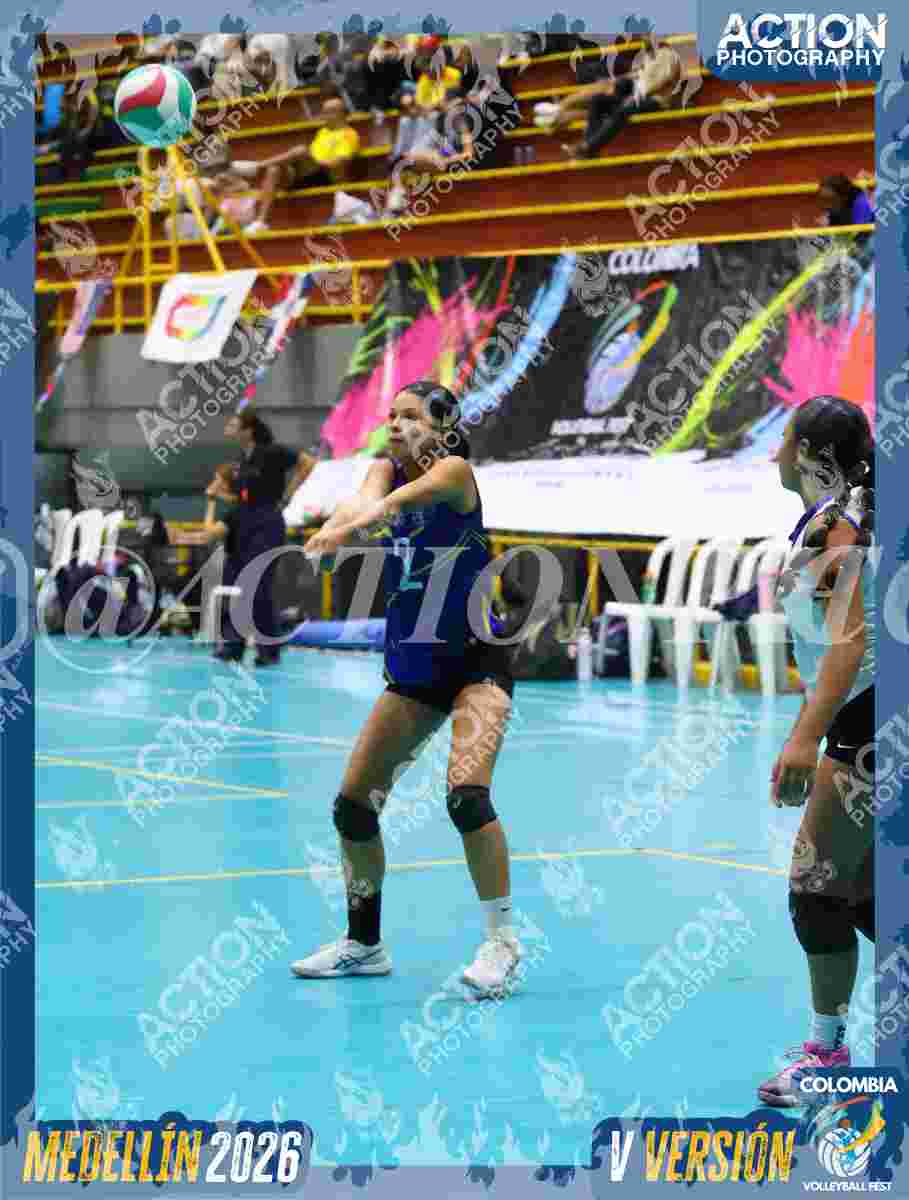 TIGRES F Foto 1
