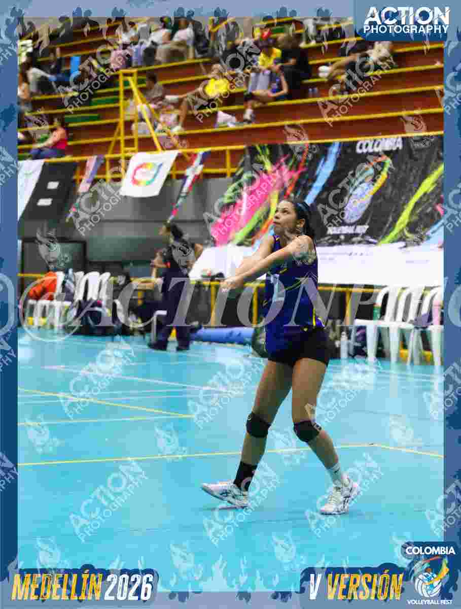 TIGRES F Foto 4