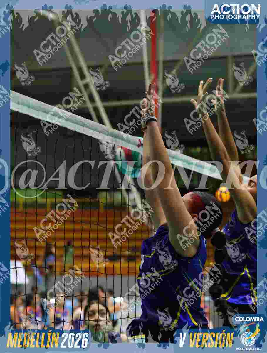 TIGRES F Foto 4