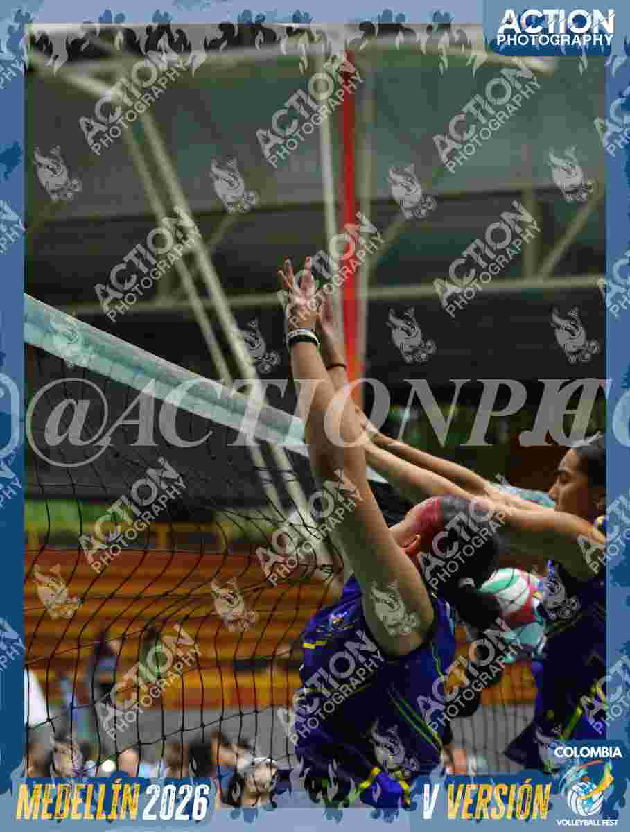 TIGRES F Foto 1
