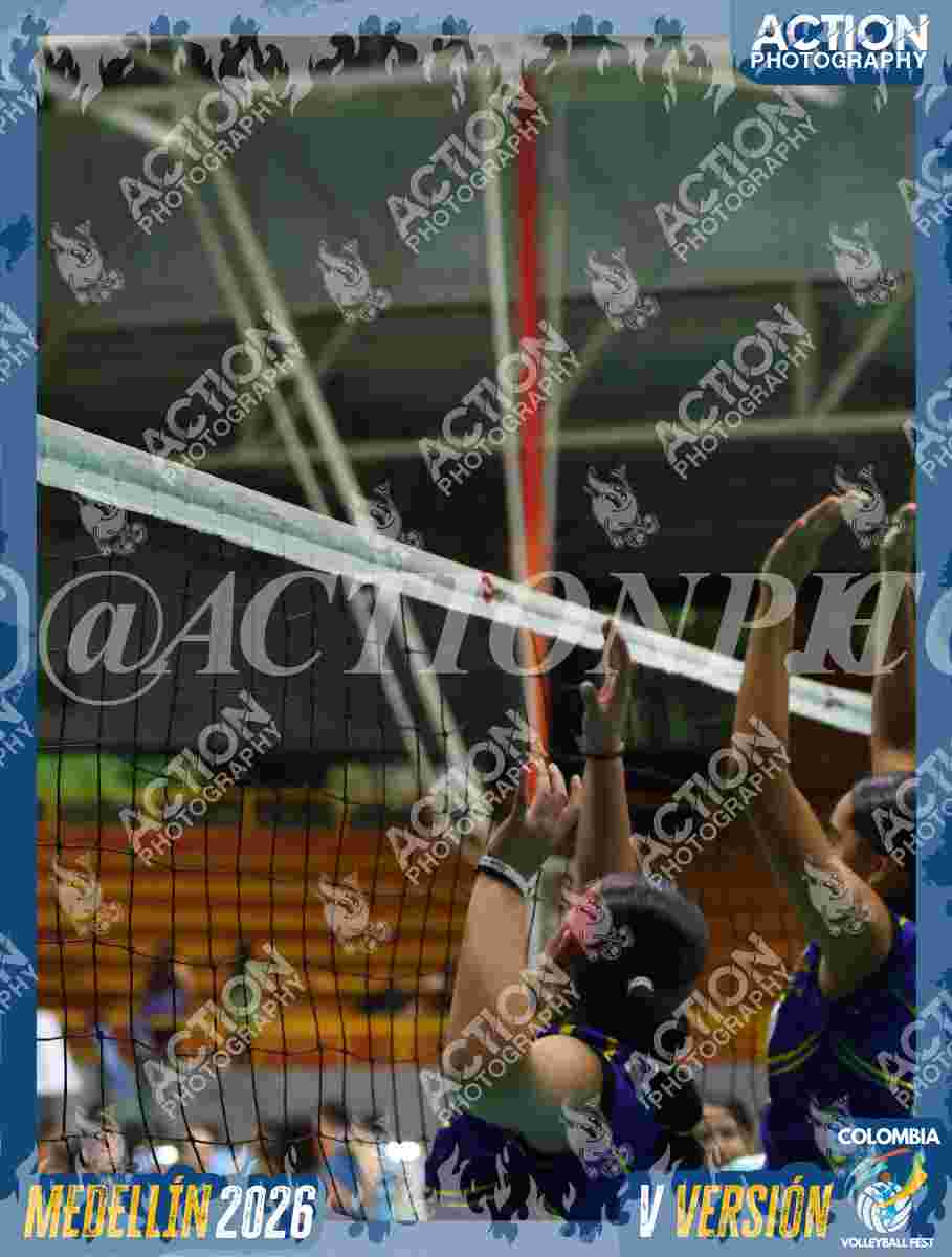 TIGRES F Foto 4